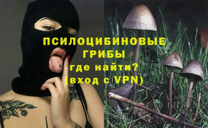 как найти закладки  сайты даркнета формула  МЕГА tor  Псилоцибиновые грибы Psilocybe  Ярцево 